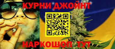 дживик Кингисепп