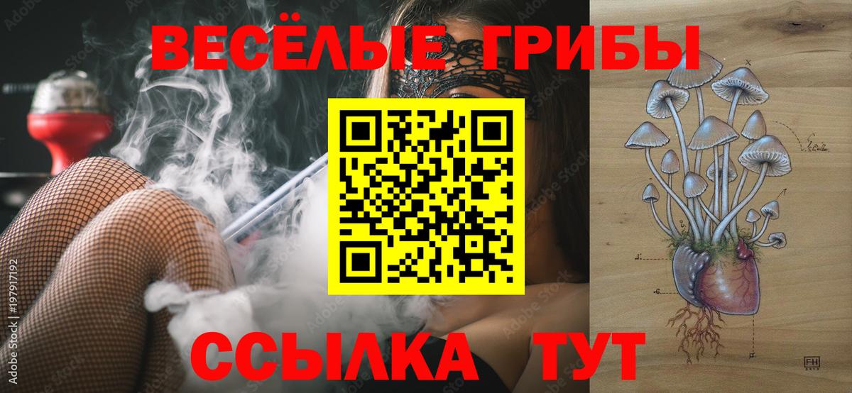 Красногорск  Псилоцибиновые грибы Psilocybe  Вход с VPN 